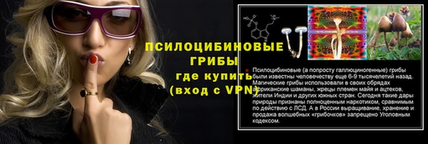 дмт Новодвинск