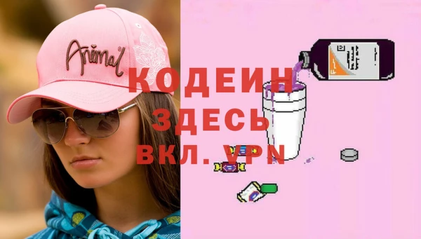 дмт Новодвинск