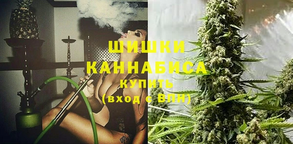дмт Новодвинск