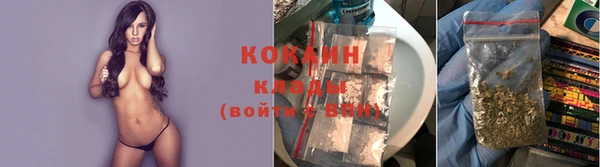 дмт Новодвинск