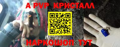 шишки Кандалакша