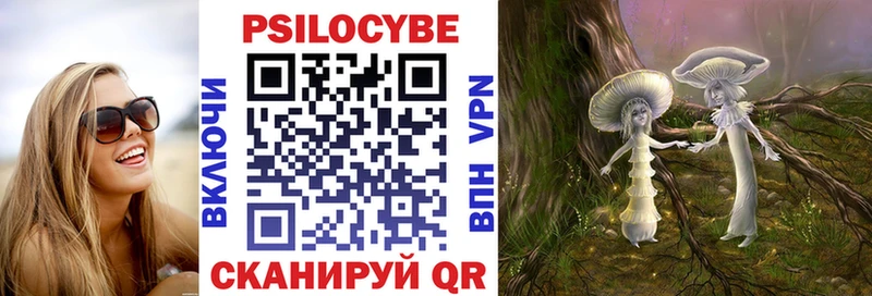 shop Telegram  купить  цена  Лабытнанги  Псилоцибиновые грибы Psilocybe 