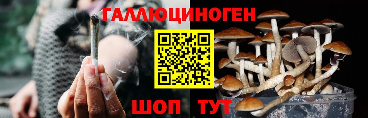 Лабытнанги  Псилоцибиновые грибы Cubensis  Галлюциногенные грибы прущие грибы  Вход с VPN 
